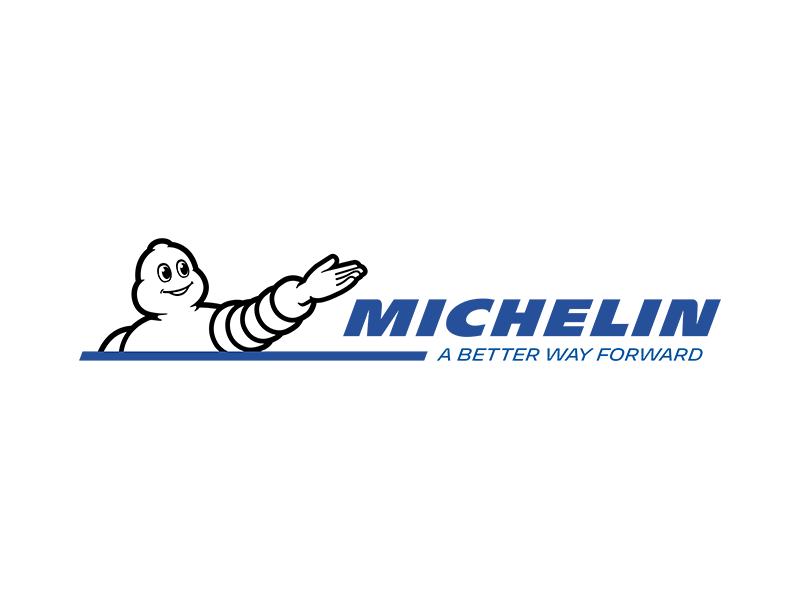 Michelin Truck Tyres